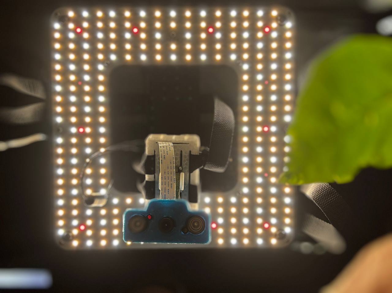 AgroBrain Development