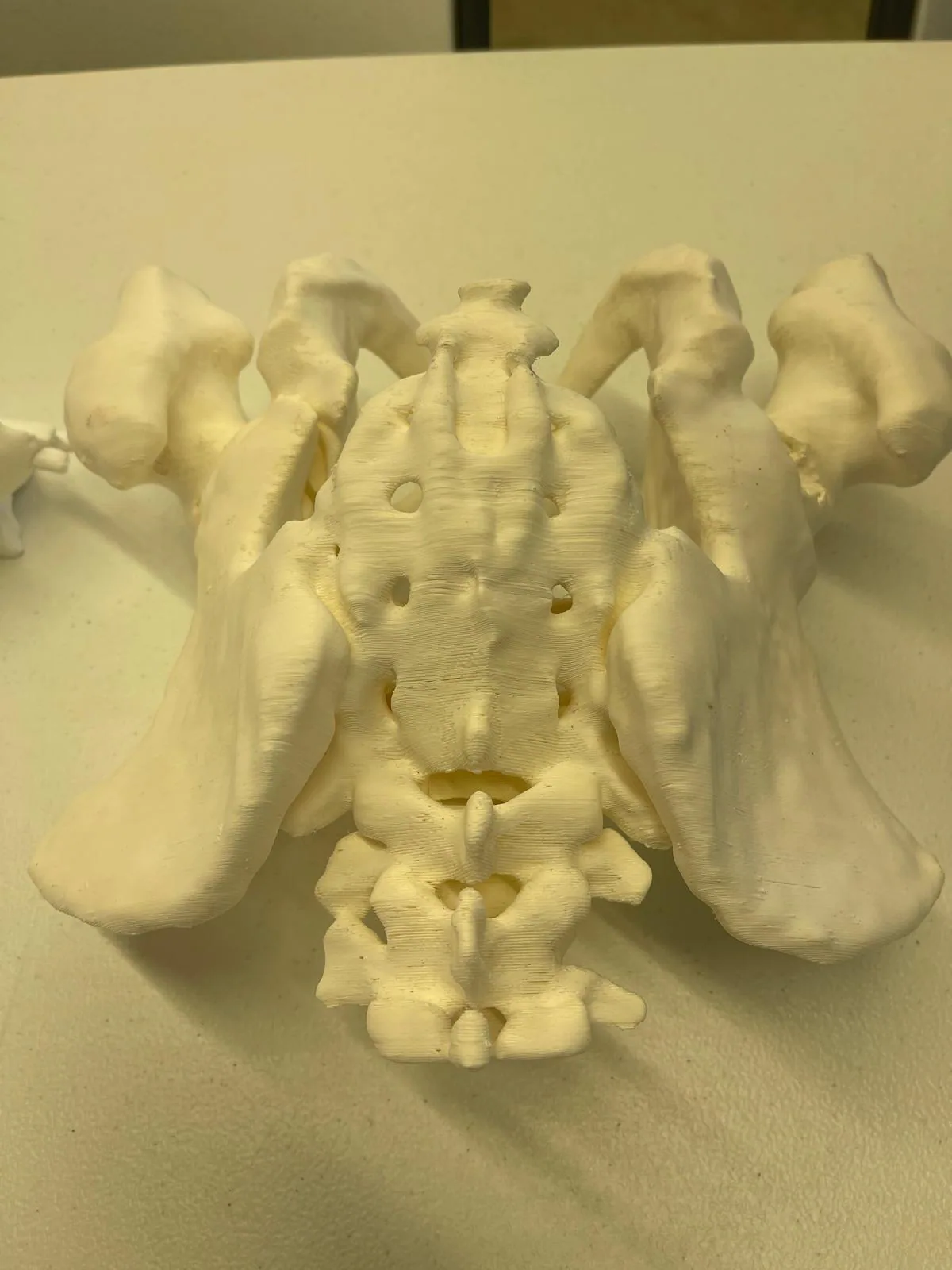 Additive Manufacturing