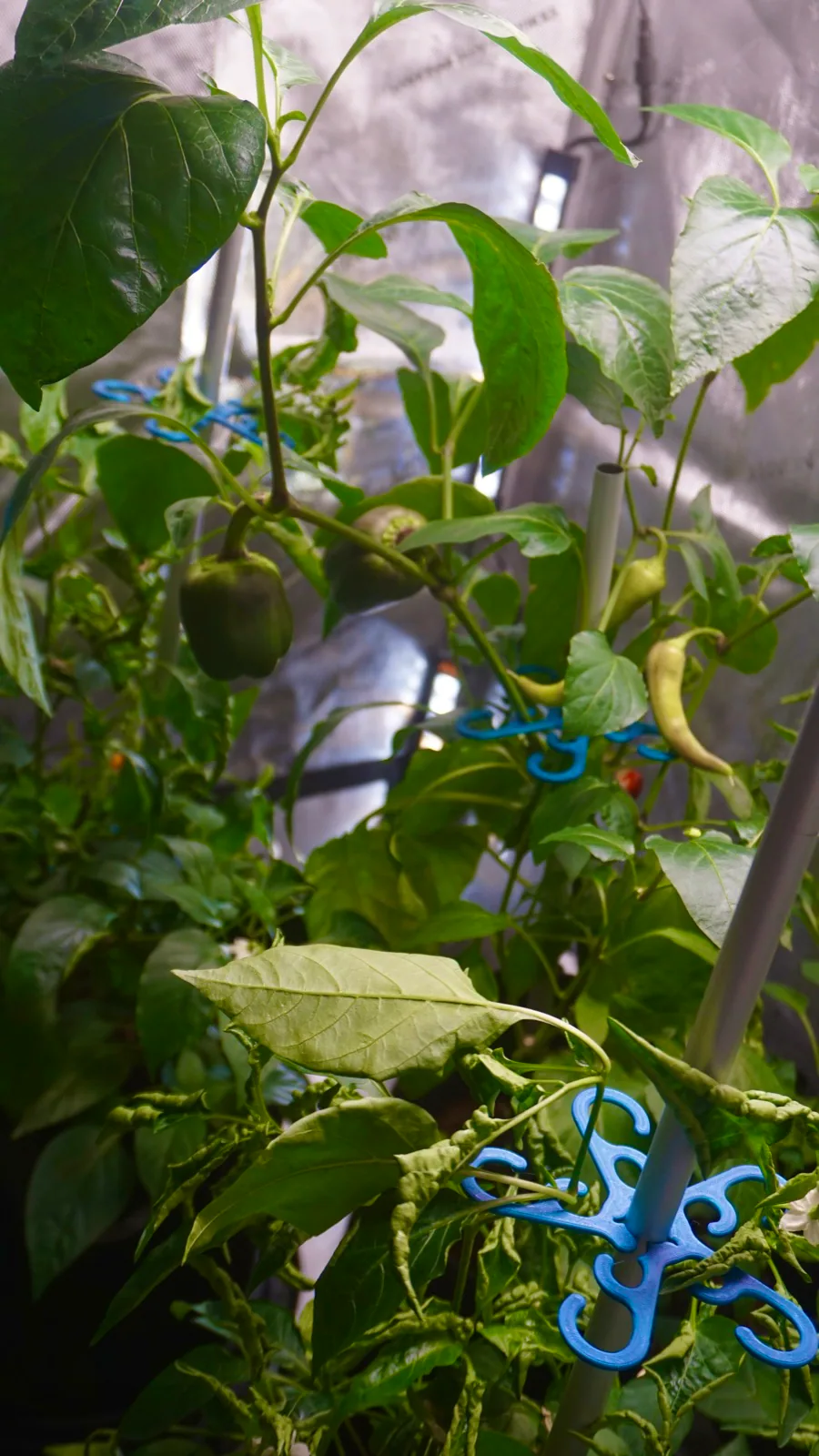 AgTech Lab / AgroBrain photo 11
