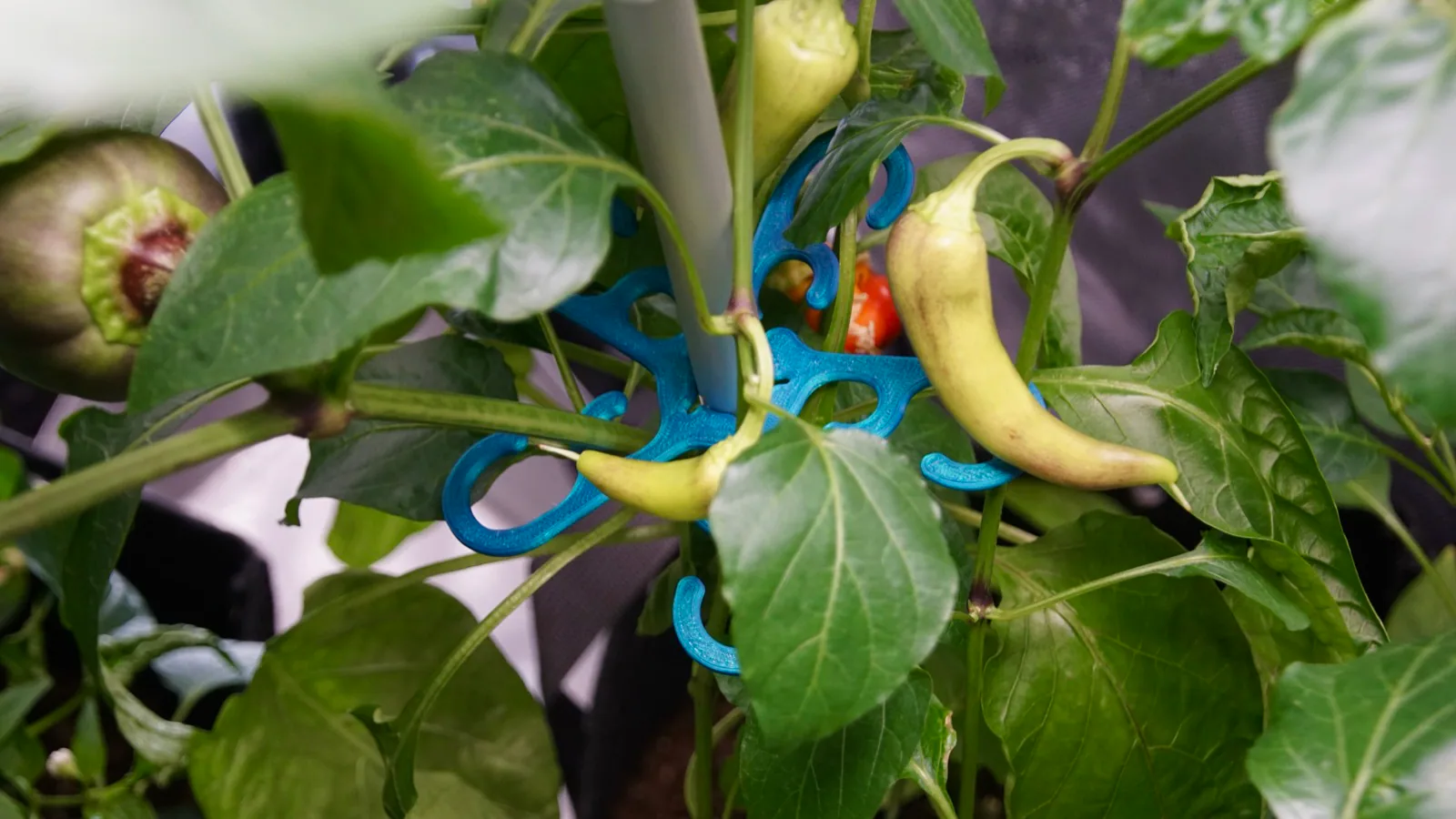 AgTech Lab / AgroBrain photo 12