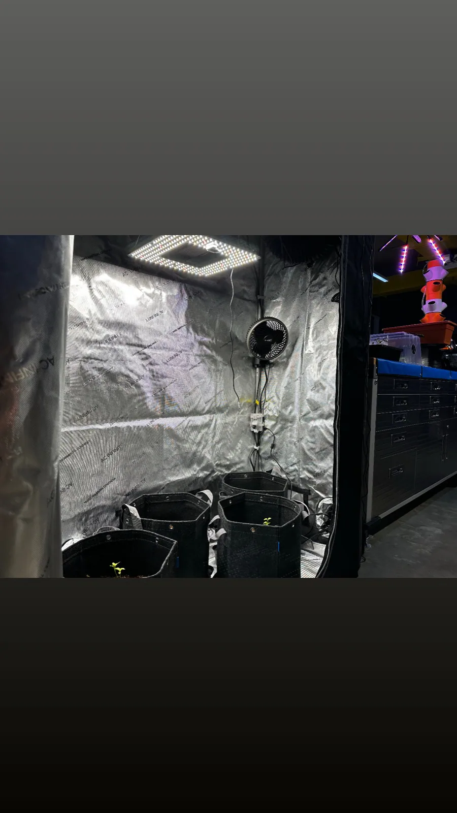 AgTech Lab / AgroBrain photo 16