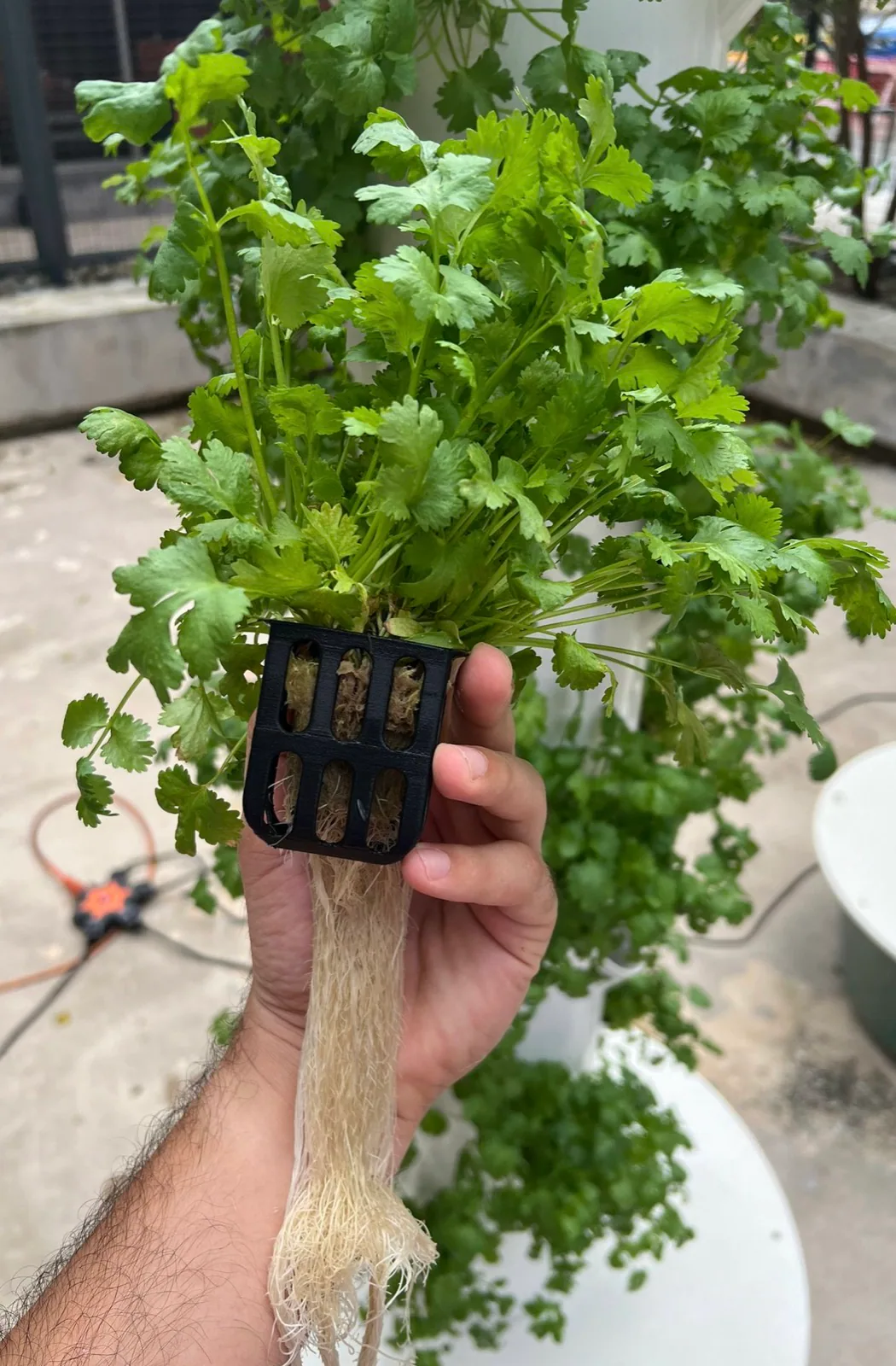 AgTech Lab / AgroBrain photo 17