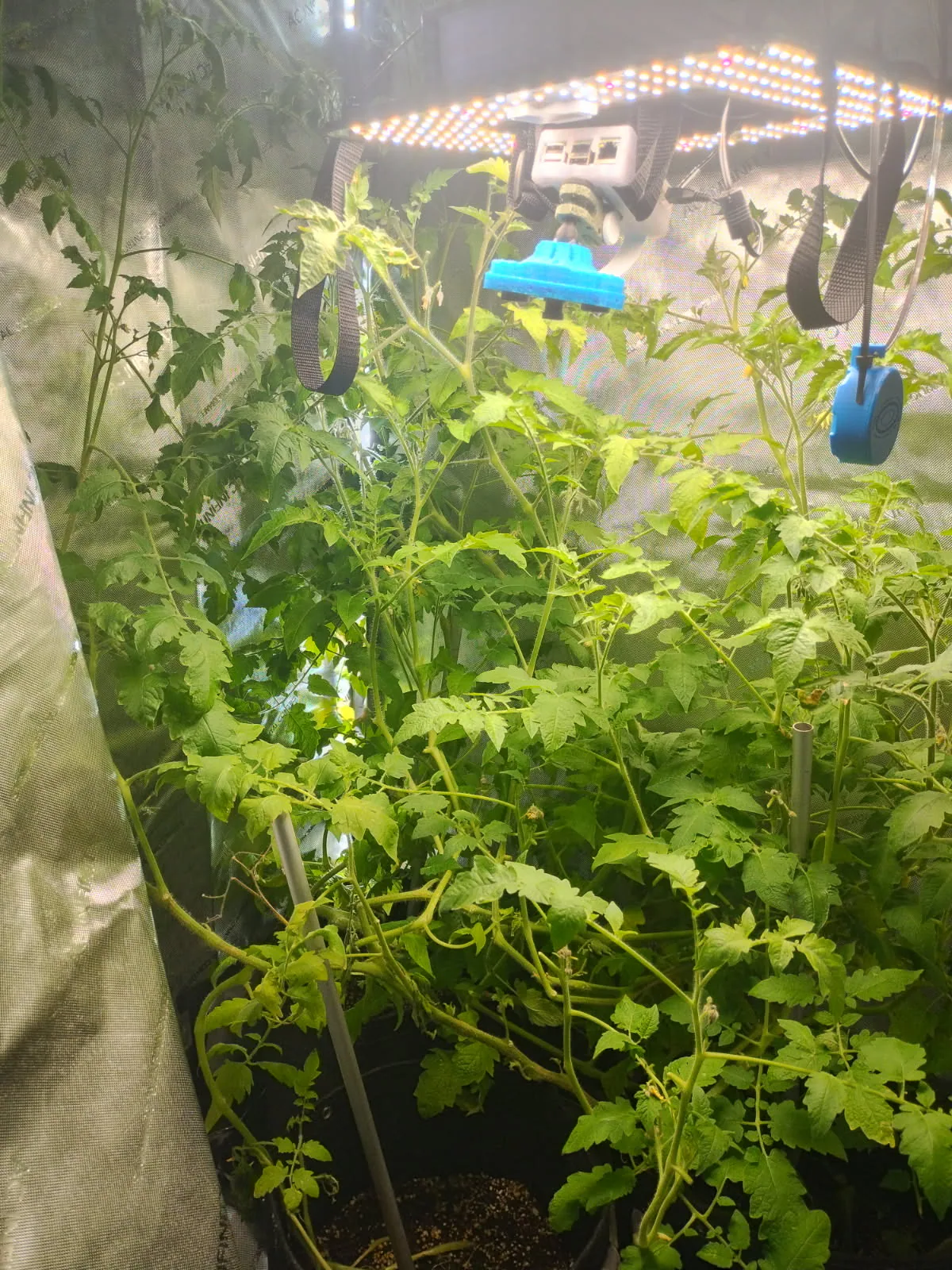 AgTech Lab / AgroBrain photo 18