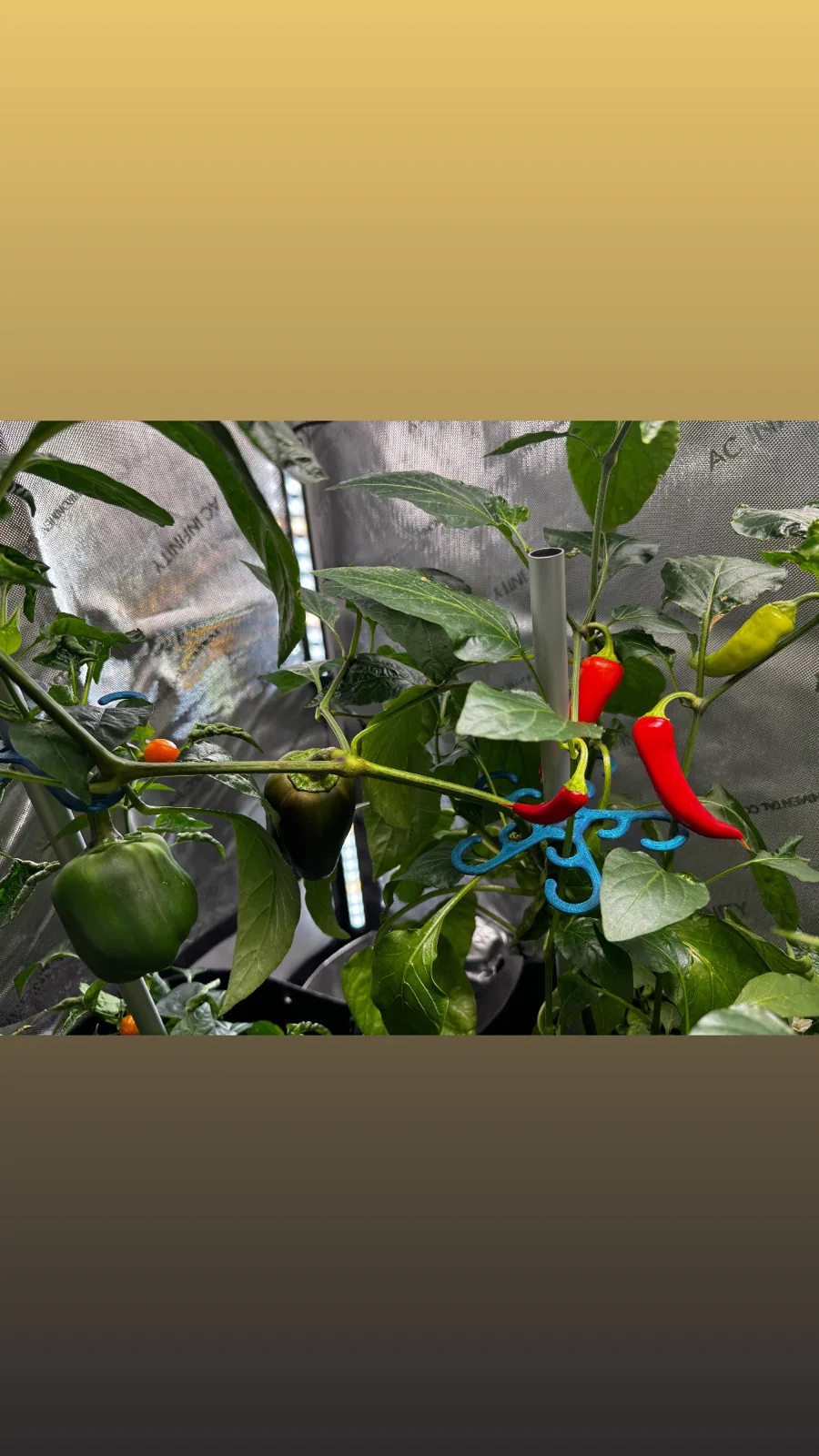 AgTech Lab / AgroBrain photo 22