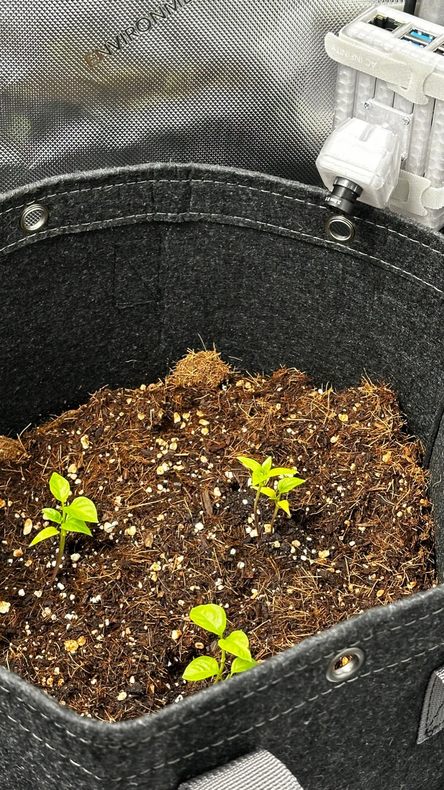 AgTech Lab / AgroBrain photo 24