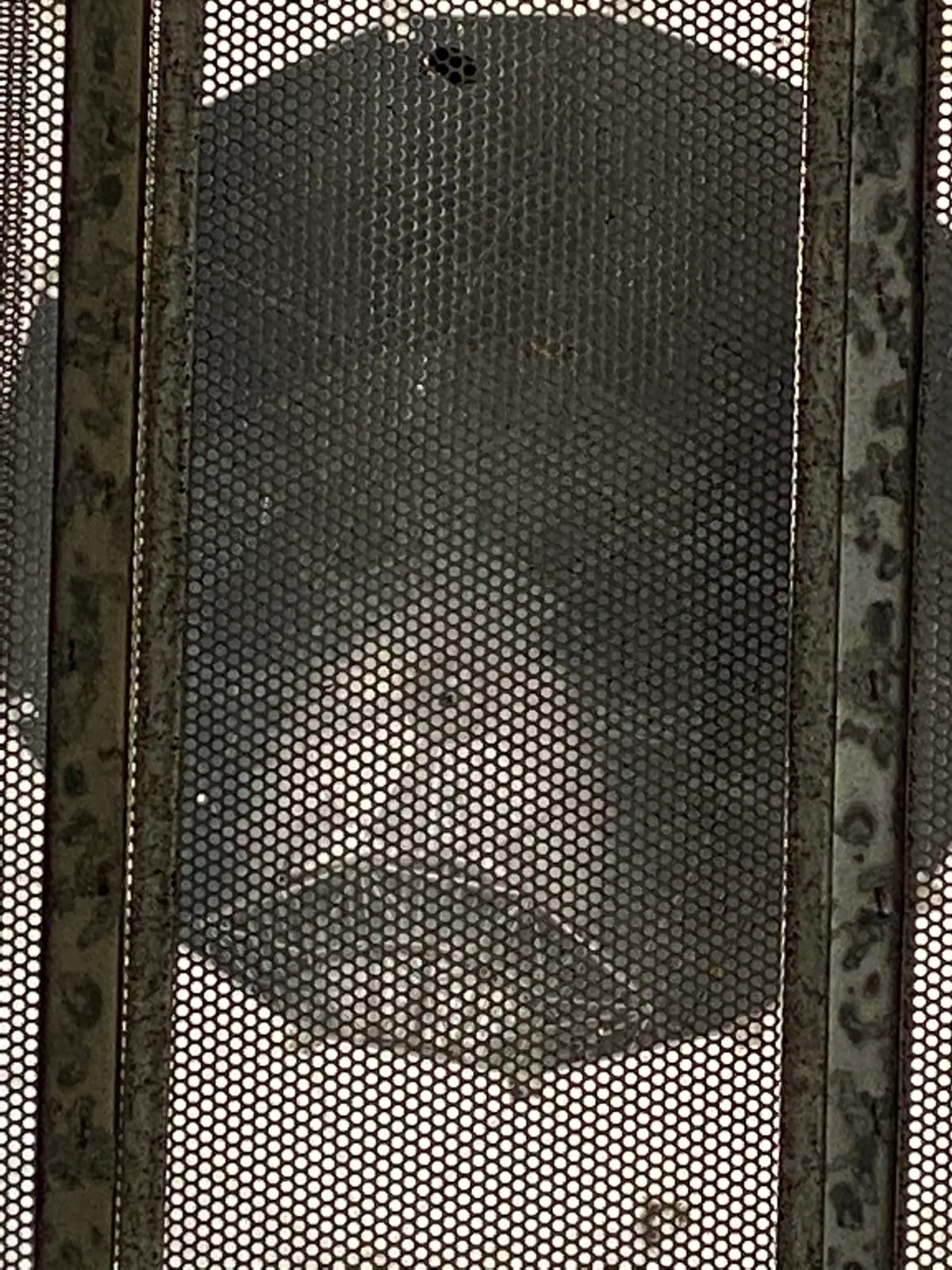 Arecibo Observatory photo 21
