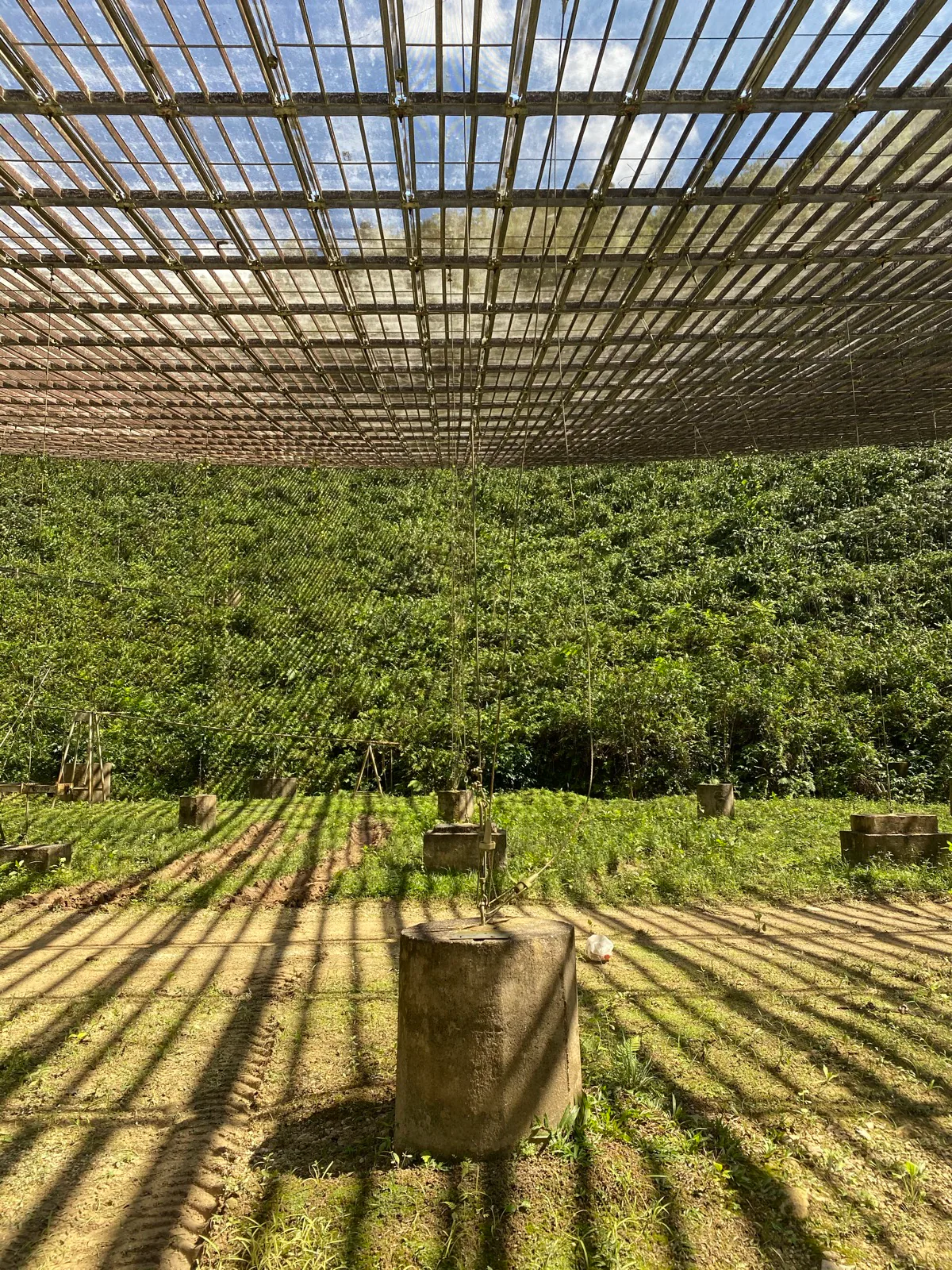 Arecibo Observatory photo 22