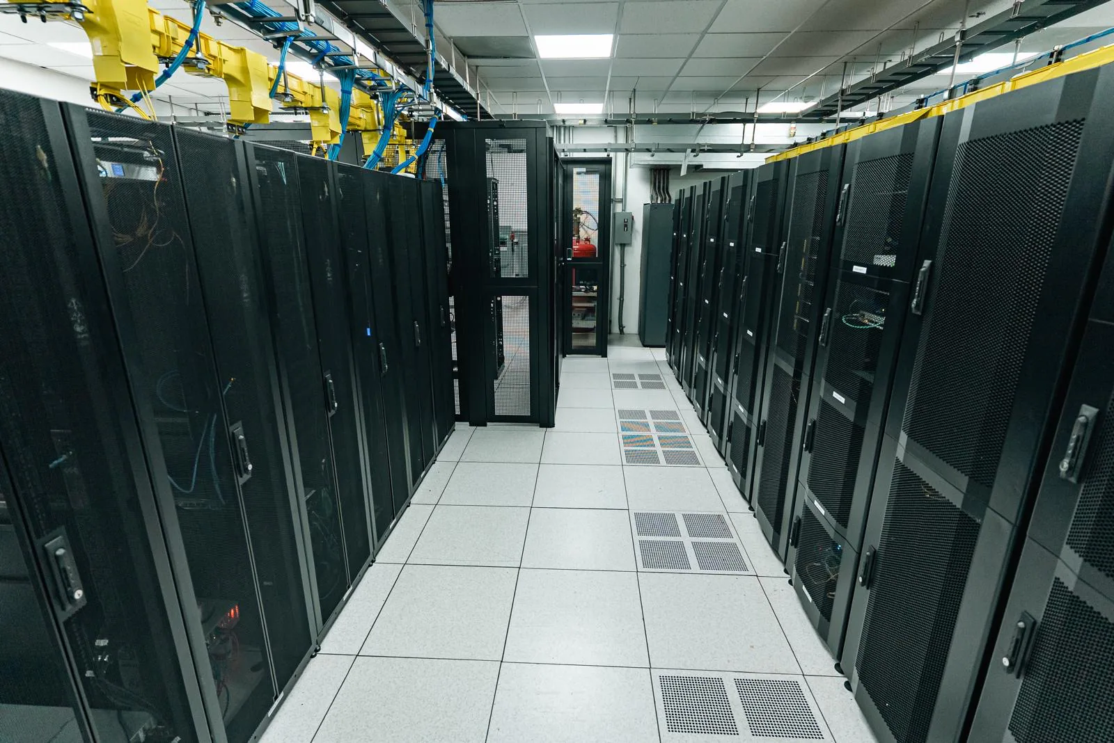 FiberX Lab photo 12