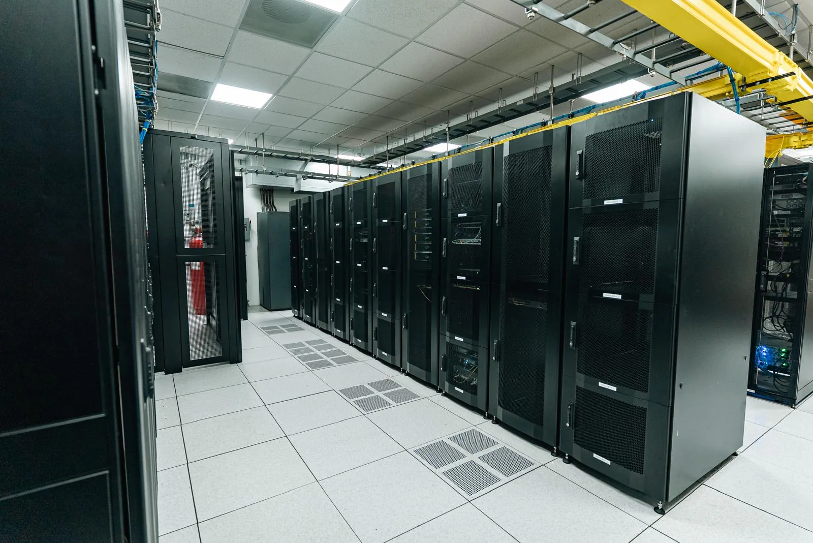 FiberX Lab photo 13