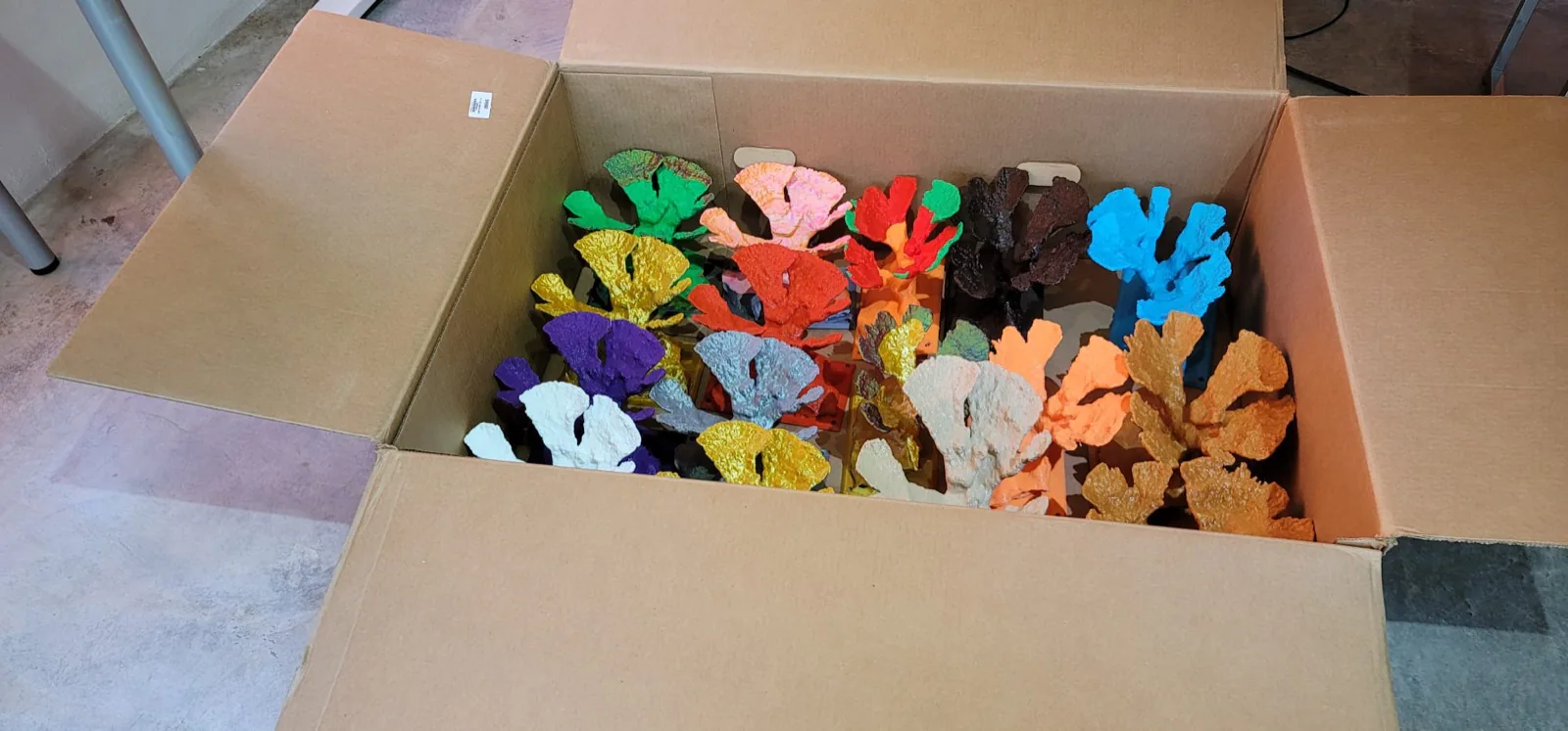 Reef 3D Project photo 12