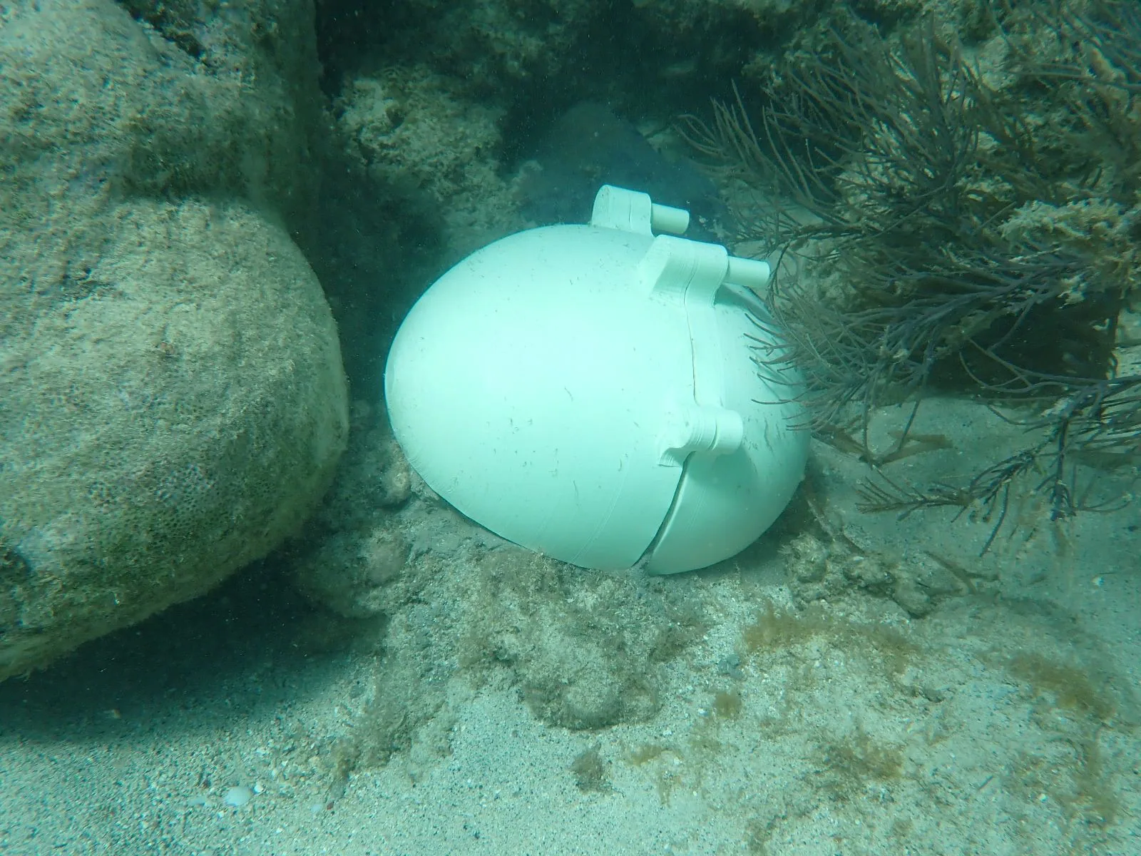 Reef 3D Project photo 19