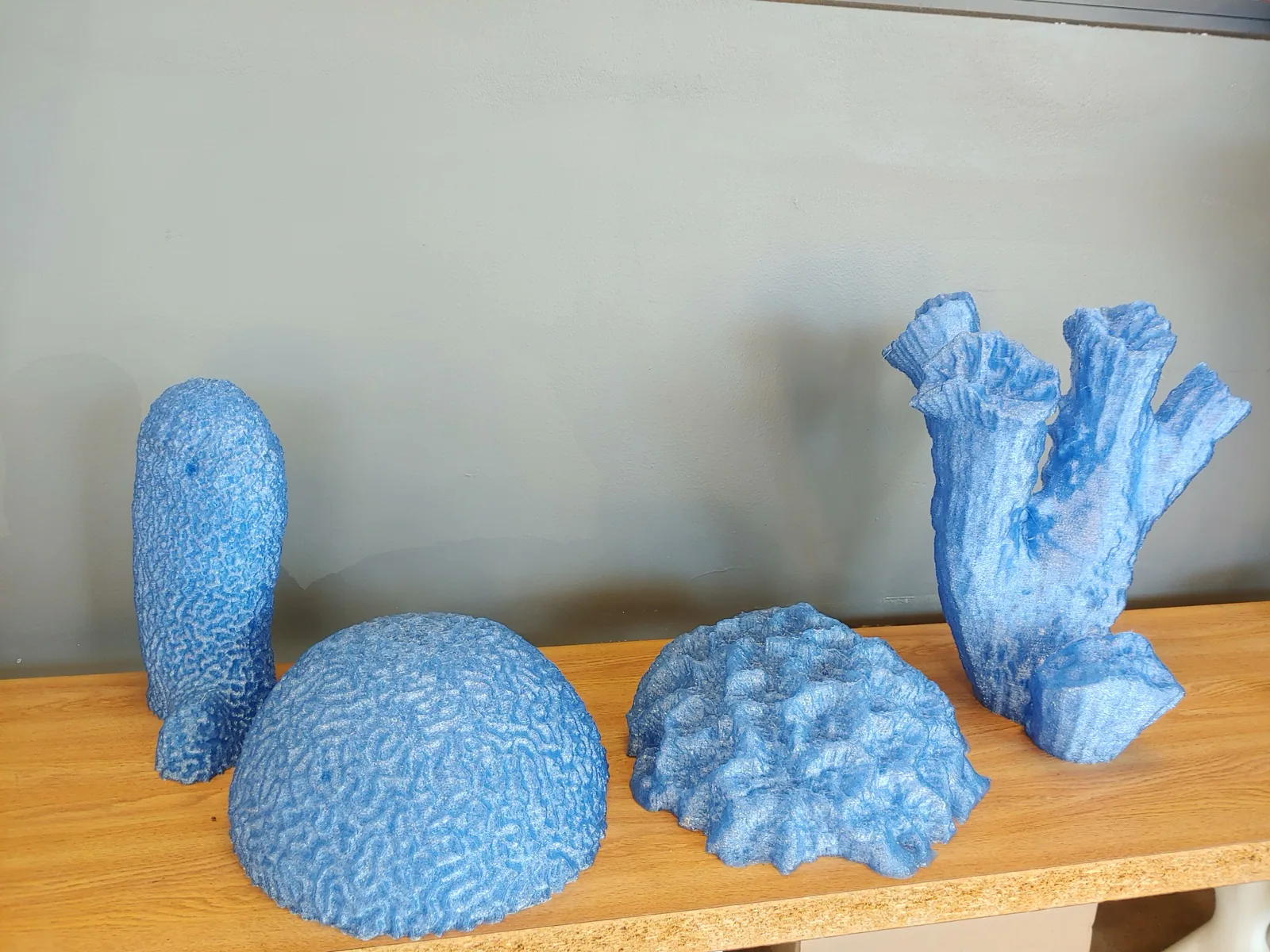 Reef 3D Project photo 9