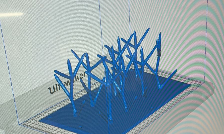 3D printed coral structures fresh off the printer bed
