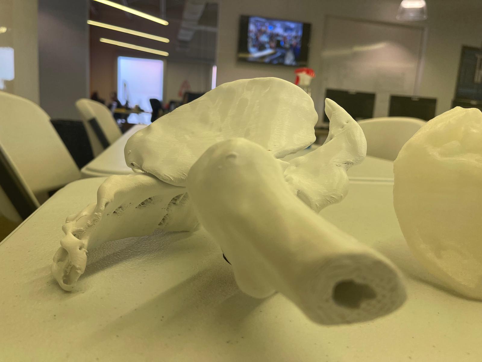 Additive Manufacturing photo 55