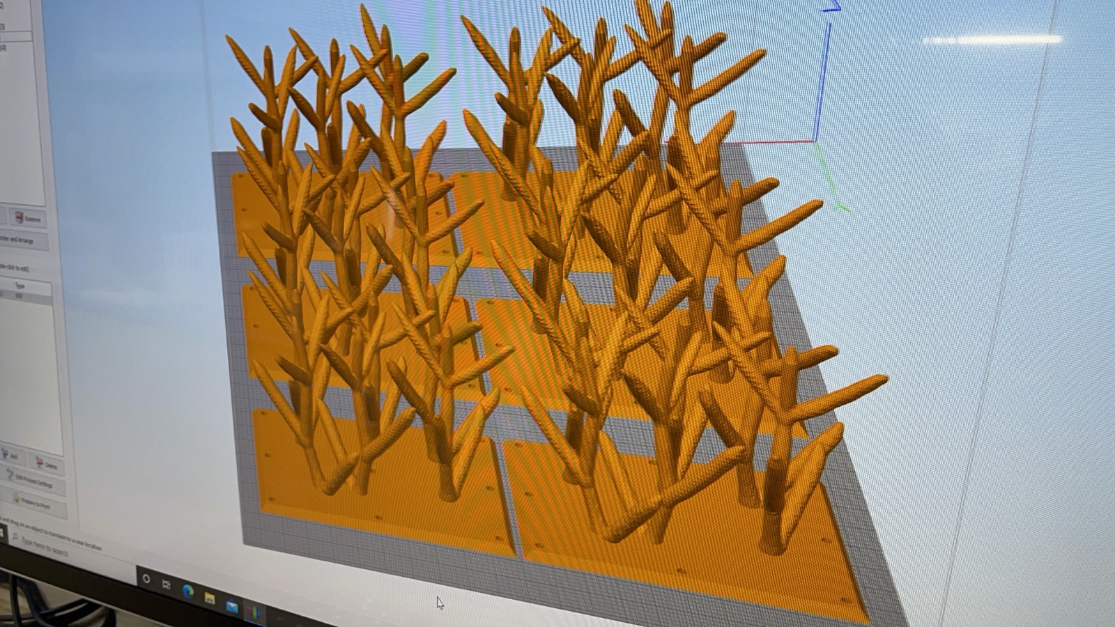 Reef 3D Project photo 101