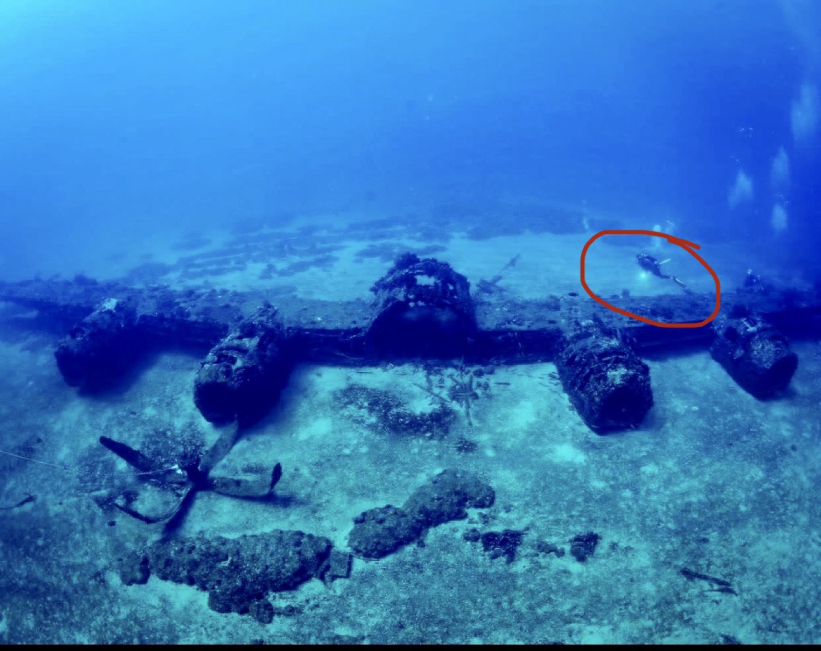 Reef 3D Project photo 151