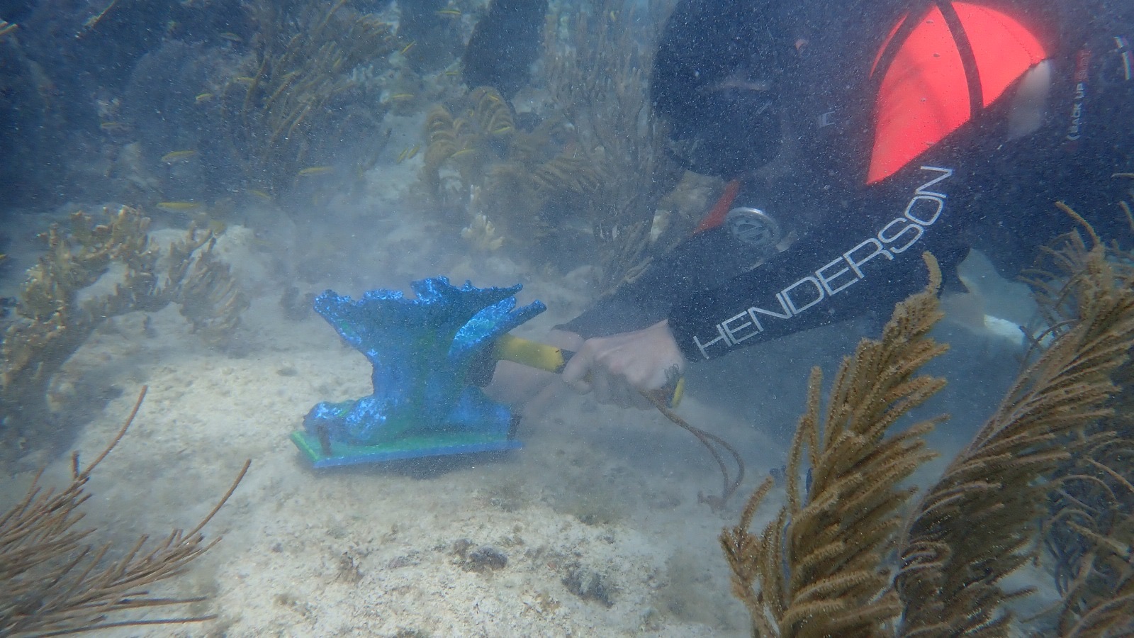 Reef 3D Project photo 36