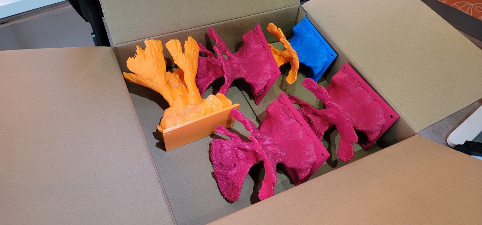 Reef 3D Project photo 40