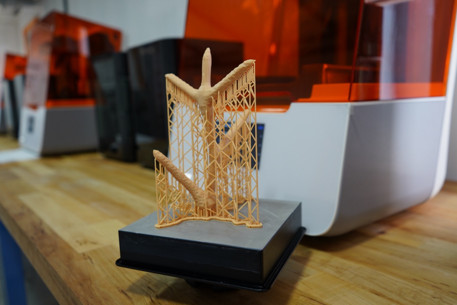 Reef 3D Project photo 66