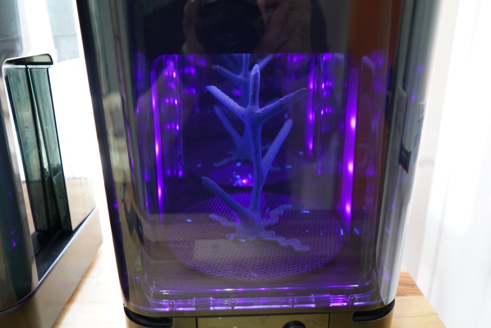 Reef 3D Project photo 72
