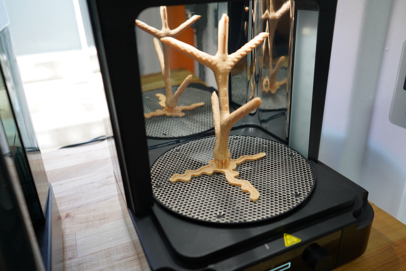 Reef 3D Project photo 74
