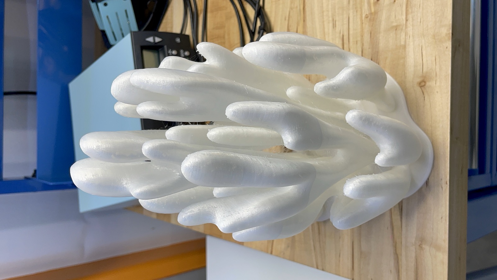 Reef 3D Project photo 92