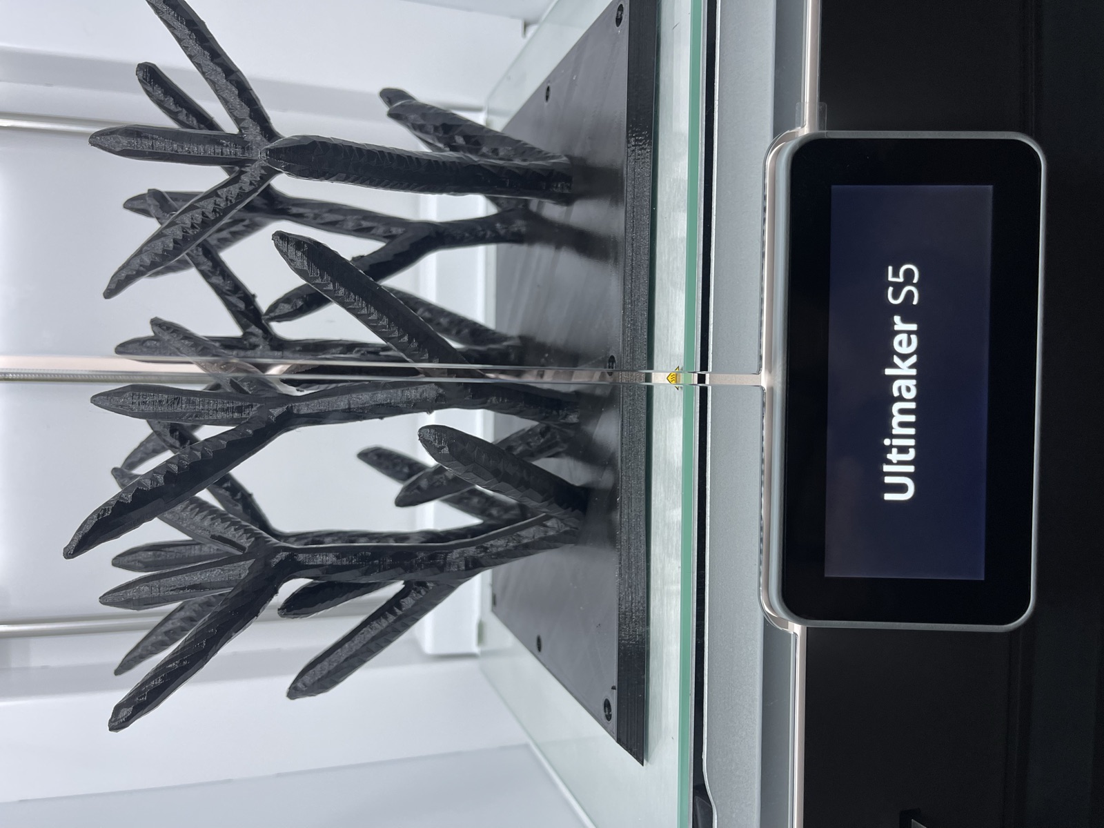 Reef 3D Project photo 96