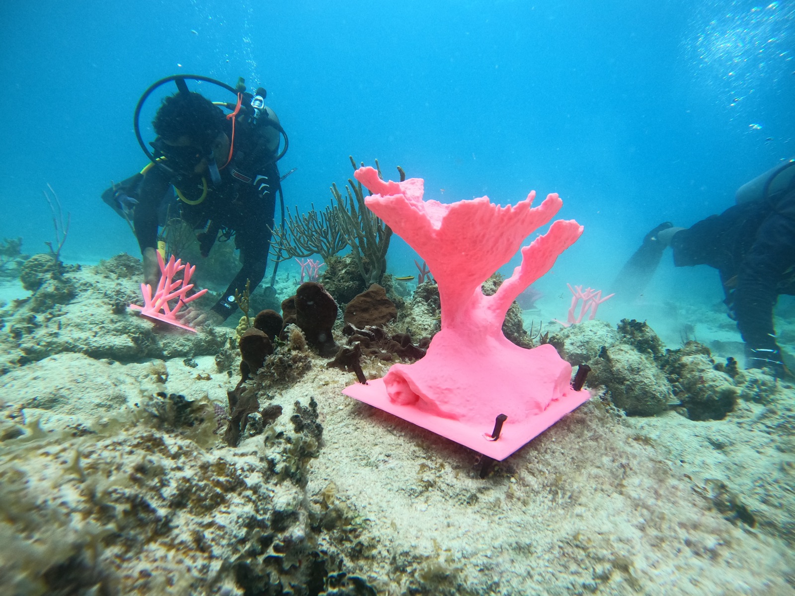 Reef 3D Project photo 99